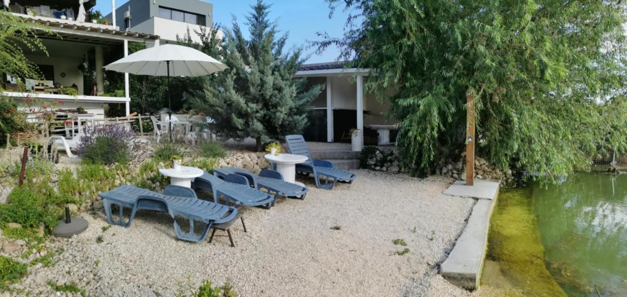 מלון קונסטנצה Vila Zuzette מראה חיצוני תמונה